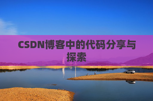 CSDN博客中的代码分享与探索